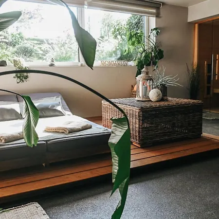 ベッド・アンド・ブレックファスト La Chamallow Vachement Douillet ディナン