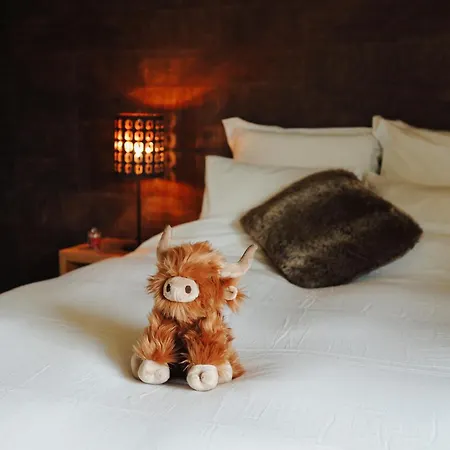 Oda ve Kahvaltı La Chamallow Vachement Douillet Dinant