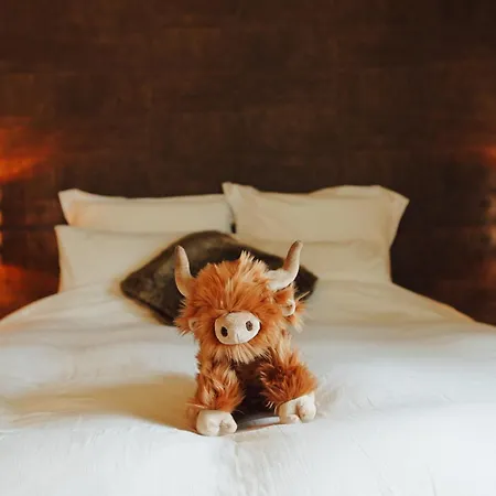 La Chamallow Vachement Douillet Bed & Breakfast