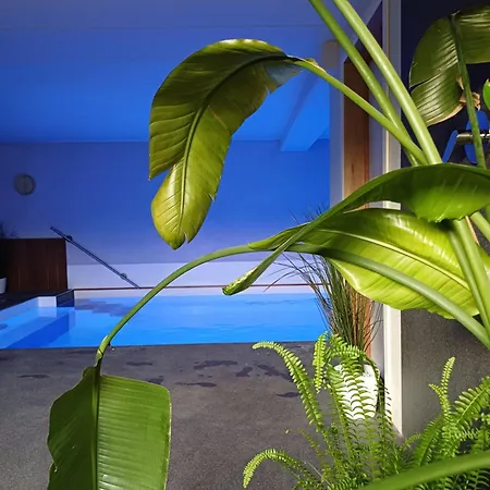 La Chamallow Vachement Douillet Oda ve Kahvaltı